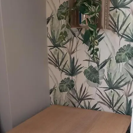 Apartament Hola Piotrkowska 59 *