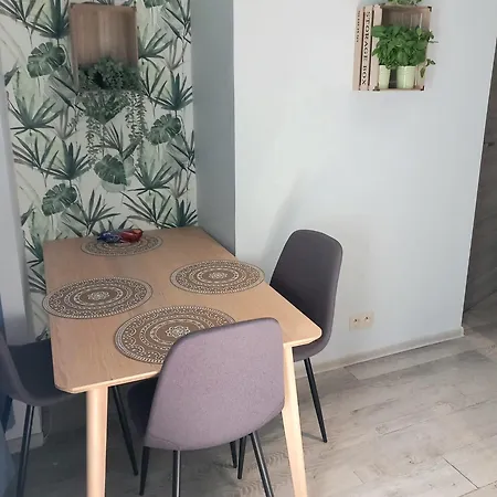 Hola Apartament Piotrkowska *