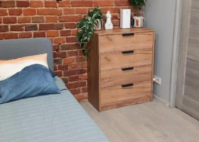 Daire Hola Piotrkowska 59 *