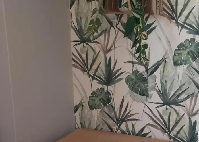 Daire Hola Piotrkowska 59 *